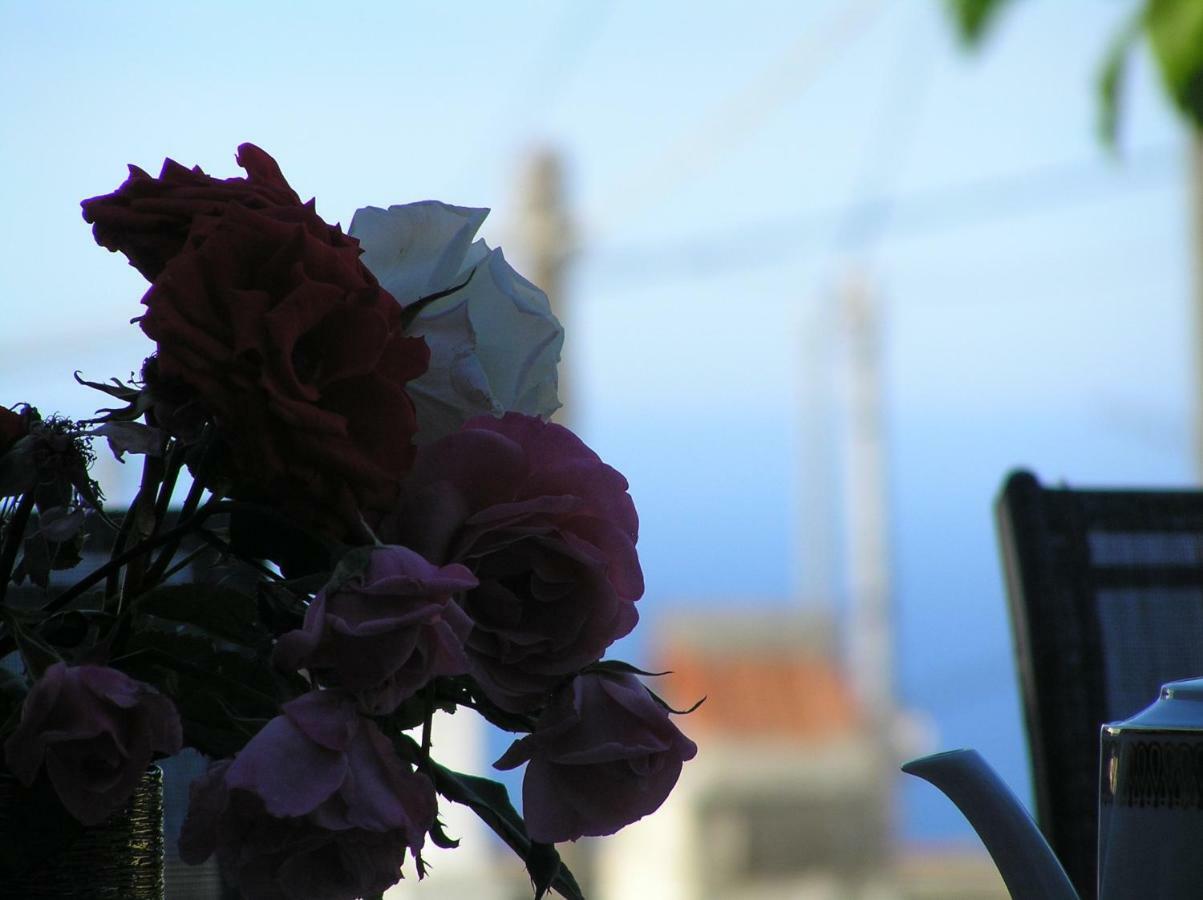 Villa Olga Agalianos